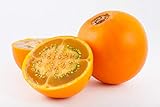 Asklepios-seeds® - 100 Semi di Solanum quitoense foto, bestseller 2024-2023 nuovo, miglior prezzo EUR 4,99 recensione