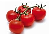 POMODORO CILIEGINO NERO 30 SEMI Pomodorino Dolce Alta Resa Black Cherry Tomato foto, bestseller 2024-2023 nuovo, miglior prezzo EUR 4,98 recensione