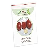 SemiGratis - 5 semi di Pomodoro Pendolino - pomodorino piennolo spunzillo pendolo foto, bestseller 2024-2023 nuovo, miglior prezzo EUR 3,50 recensione
