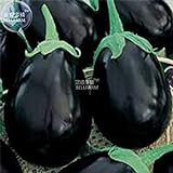 Visa Store 2018 vendita calda Davitu melanzane nero grandi semi di ortaggi, 100 semi, organici gustosi per la casa giardino E4327I foto, bestseller 2024-2023 nuovo, miglior prezzo  recensione