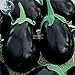 foto Visa Store 2018 vendita calda Davitu melanzane nero grandi semi di ortaggi, 100 semi, organici gustosi per la casa giardino E4327I nuovo bestseller 2024-2023