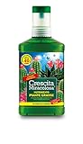 Crescita Miracolosa C025001 Nutrimento Cactus, 200 ml, Verde, 7.5x3.5x18 cm foto, bestseller 2024-2023 nuovo, miglior prezzo EUR 5,30 recensione