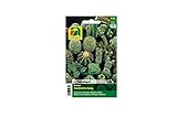 Mezcla especial de cactus | Este paquete trae increíbles 50 plantas | Plantas de interior | para amantes de las plantas Foto, éxito de ventas 2024-2023 nuevo, mejor precio EUR 8,12 revisión
