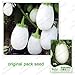 foto 20 Semi / pack, melanzana, melanzana bianca, melanzane bio orto balcone in vaso bonsai nuovo bestseller 2024-2023