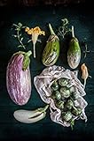 100pcs 12kinds di verdure Semi di melanzane Semi Bonsai piante Semi per la casa e orto biologico Plantas Sementes foto, bestseller 2024-2023 nuovo, miglior prezzo EUR 10,99 recensione