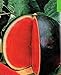 foto 30 semi di anguria pelle nera precoce frutto del seme di anguria Tyulpan russo Organic Heirloom per la semina giardino di casa nuovo bestseller 2024-2023