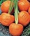 foto SEMI PLAT firm-100pcs / bag parigino semi di carota non OGM Vegetable Seeds cucina Assisted Nutrizione Outdoor Vaso da fiori per il giardino domestico nuovo bestseller 2024-2023