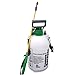 Foto 8L litros bomba de presión pulverizador botella planta agua químico herbicida mister-3 años de garantía. nuevo éxito de ventas 2024-2023