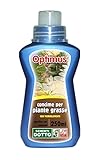 Sdd 50100210 Optimus Concime Liquido Piante Grasse, Verde foto, bestseller 2024-2023 nuovo, miglior prezzo EUR 3,50 recensione