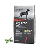 GOLOSI DOG - BIG CROC MAXI 12 Kilogramm crocchette per cani di taglia grande foto, bestseller 2024-2023 nuovo, miglior prezzo EUR 29,25 recensione