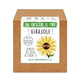 Garden Pocket - Fai crescere il tuo GIRASOLE - Kit di germinazione foto, bestseller 2024-2023 nuovo, miglior prezzo EUR 14,90 recensione