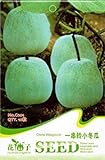 Farmerly 5pack Ogni confezione 10 + inverno semi di melone Benincasa hispida cera zucca bianca della zucca Seeds C001 foto, bestseller 2024-2023 nuovo, miglior prezzo  recensione