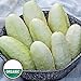 foto PLAT FIRM Germinazione I semi PLATFIRM-Casper Bianco Melanzana francese Aubergine Heirloom Non-GMO Vegetale - 10 Semi nuovo bestseller 2024-2023
