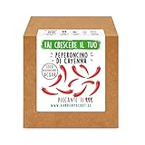 Garden Pocket - Fai crescere il tuo PEPERONCINO DI CAYENNA- Kit di germinazione foto, bestseller 2024-2023 nuovo, miglior prezzo EUR 14,90 recensione