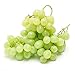 foto Pinkdose Bonsai di vite d'uva in miniatura - Patio Syrah - Vitis Vinifera - Pianta d'appartamento - 10 pezzi - Bonsai di frutta: 1 nuovo bestseller 2024-2023