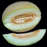 Portal Cool 10 - Semi: semi di melone Charlynne - Molto dolce, cremoso e aromatico, morbido e succoso. !!!! foto, bestseller 2024-2023 nuovo, miglior prezzo EUR 9,99 recensione