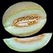 foto Portal Cool 10 - Semi: semi di melone Charlynne - Molto dolce, cremoso e aromatico, morbido e succoso. !!!! nuovo bestseller 2024-2023