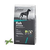 GOLOSI DOG - al pesce per cani di tutte le taglie 12 Kilogramm foto, bestseller 2024-2023 nuovo, miglior prezzo EUR 22,05 recensione