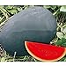 foto SEMI PLAT firm-dolce gigante nero anguria Semi, cocomero senza semi Semi, Giardino Piantare, Cortile Bonsai Frutta - 20 Particelle/Bag nuovo bestseller 2024-2023