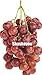 foto Pinkdose Saldi!Â 100 pz Piante d'uva Nero Uva Albero bonsai Cresce Frutta Bonsai Piante non OGM Cibo commestibile Balcone in vaso Piante da giardino: 8 nuovo bestseller 2024-2023