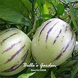 Semi 20pcs Pepino Semi pepino melone pera giardino domestico di DIY BonsaïPianta foto, bestseller 2024-2023 nuovo, miglior prezzo EUR 10,99 recensione