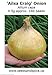 foto Portal Cool Semi di cipolla 'Ailsa Craig' (Allium Cepa) 0.5G 140 nuovo bestseller 2024-2023