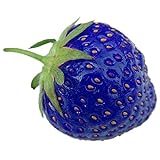 Rosepoem 100PCS Natural Organic Blue Strawberry Antiossidante Semi Pianta di piante rare e giardino bonsai foto, bestseller 2024-2023 nuovo, miglior prezzo EUR 10,99 recensione