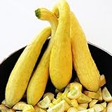Zucchino giallo rugoso Friulano (Semente) foto, bestseller 2024-2023 nuovo, miglior prezzo EUR 1,10 recensione
