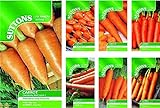Portal Cool Nastro di semi di carota Amsterdam Per.: Suttons semi di carota pacchetti di semi foto, bestseller 2024-2023 nuovo, miglior prezzo EUR 9,99 recensione