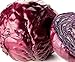 foto Portal Cool Semi Cavolo cappuccio rosso, Acre Rosso, Heirloom Semenza di cavolo, non-OGM Cavolo Seed, 100CT nuovo bestseller 2024-2023
