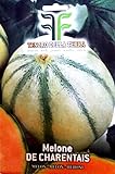 120 C.ca Semi Melone De Charentais - Cucumis Melo In Confezione Originale Prodotto in Italia - Meloni foto, bestseller 2024-2023 nuovo, miglior prezzo EUR 7,40 recensione