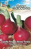 Hortus 30CIP2286 Gran Raccolto Cipolla Tropea, Tonda, Rosso, 13x0.4x20 cm foto, bestseller 2024-2023 nuovo, miglior prezzo EUR 1,50 recensione