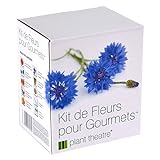 Il Kit Fiori Gourmet di Plant Theatre – 6 varietà di fiori commestibili da coltivare – regalo ottimale foto, bestseller 2024-2023 nuovo, miglior prezzo EUR 16,99 recensione