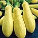 foto Precoce maturazione lunga bianca Melanzana F1 Vegetable Seeds, pacchetto all'ingrosso, 200 semi, Nizza KK179 pelle nuovo bestseller 2024-2023