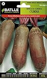 Semi Ortaggi Di Batlle - Barbabietola Cylindra (500 Seeds) foto, bestseller 2024-2023 nuovo, miglior prezzo EUR 1,95 recensione