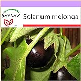 PLAT firm-SEMI SAFLAX - Melanzana - 20 semi - Solanum melonga foto, bestseller 2024-2023 nuovo, miglior prezzo EUR 10,64 recensione