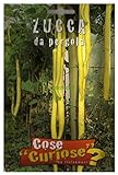 Semi - Zucca da Pergola (Lagenaria longissima) foto, bestseller 2024-2023 nuovo, miglior prezzo EUR 4,64 recensione