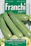 Portal Cool Semi Franchi d'Italia - Zucchine - Alberello di Sarzana - Semi foto, bestseller 2024-2023 nuovo, miglior prezzo EUR 9,99 recensione