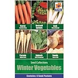 Invernale Verdura Seme Collezione 6 in 1 confezione foto, bestseller 2024-2023 nuovo, miglior prezzo  recensione