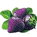 foto Ncient 50/100 Semi Sementi di Fragola Multicolore Strawberry Semi di Frutta Fiori Rari Profumati Fiori Piante per Orto Giardino Balcone Interni ed Esterni nuovo bestseller 2024-2023