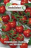 SeedsSelect Semi Pomodoro Ciliegia SEL. Regina (2 bustine) foto, bestseller 2024-2023 nuovo, miglior prezzo EUR 2,00 recensione