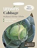 Unwins Pictorial pacco – cavolo Holland Winter bianco – 200 semi foto, bestseller 2024-2023 nuovo, miglior prezzo EUR 1,66 recensione