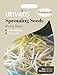 foto Unwins Pictorial pacco – germinazione semi di fagioli – 600 semi nuovo bestseller 2024-2023