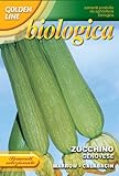 ZUCCHINO GENOVESE SEMENTE BIOLOGICA BUSTA foto, bestseller 2024-2023 nuovo, miglior prezzo EUR 3,32 recensione