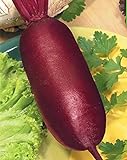 Semi di barbabietola rossa Rival agricoltura biologica Heirloom vegetali non OGM foto, bestseller 2024-2023 nuovo, miglior prezzo EUR 10,99 recensione