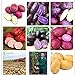 foto Pinkdose Una borsa 200pcs giganti * piante viola patate Bonsai Nutrizione arcobaleno Piante ortive Per la casa Giardino Piantare piante rare Semente: Multi-Colored nuovo bestseller 2024-2023