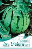 Portal Cool 1 confezione di semi di melone semi di ortaggi biologici semi nutrienti piante da giardino caldo foto, bestseller 2024-2023 nuovo, miglior prezzo EUR 9,99 recensione