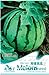 foto Portal Cool 1 confezione di semi di melone semi di ortaggi biologici semi nutrienti piante da giardino caldo nuovo bestseller 2024-2023