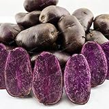 Go Garden 100 Pz viola semi di patata viola patata dolce nutrizione delizioso verdi foto, bestseller 2024-2023 nuovo, miglior prezzo  recensione