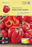 Hortus Le 08HAS0906 Le Straordinarie Habanero Red Peperoncino, 13x0.3x20 cm foto, bestseller 2024-2023 nuovo, miglior prezzo EUR 2,80 recensione